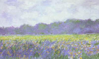 Field of Yellow Iris at Giverny, Claude Monet